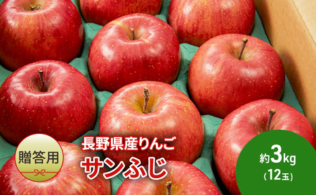 [贈答用]長野県産りんご「サンふじ」約3kg (12玉)