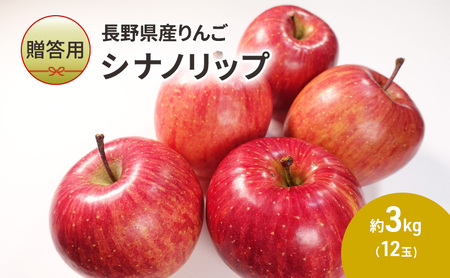 [贈答用]長野県産りんご「シナノリップ」 約3kg(12玉)