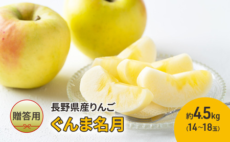 [贈答用]長野県産りんご「ぐんま名月」 約4.5kg(14玉〜18玉)