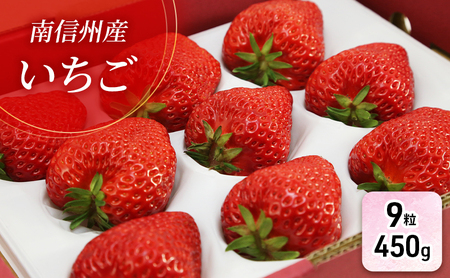 [特選贈答用]南信州産「いちご」(9粒・450g)[信州駒ヶ根いちご園] 果物類 苺 イチゴ
