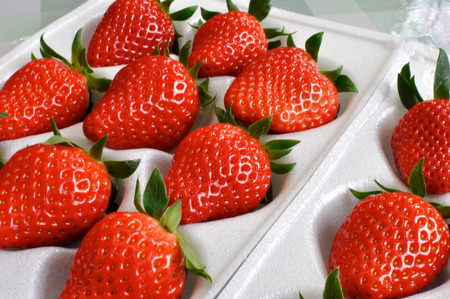 ��M�B�Y�u�������v (300g×8�p�b�N)�@�y�ɓߐX�p�[�N�z �ʕ��� � �C�`�S