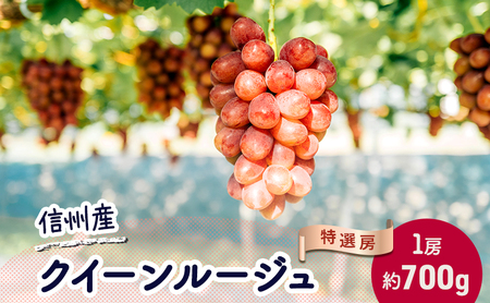 ぶどう クイーンルージュⓇ 約700g(1房)果物 フルーツ デザート 信州 長野 駒ケ根市
