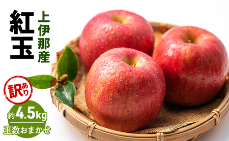 訳あり 紅玉4.5kg(玉数おまかせ)