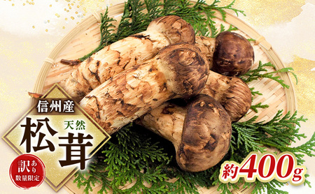 父の日 【訳あり】数量限定/信州産「天然松茸」（約400g前後）
