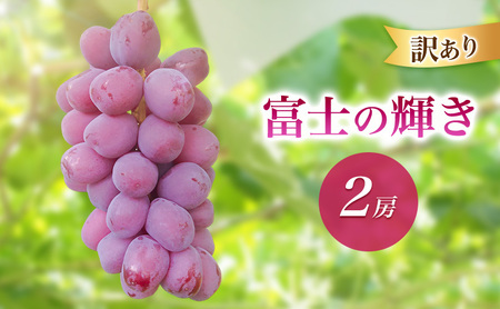 2026年産訳あり富士の輝き2房 種なし 果物 ぶどう 葡萄 マスカット フルーツ 長野県 駒ケ根市