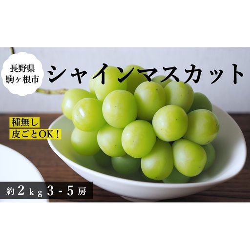 [2026年産予約]シャインマスカット 約2kg(3〜5房)|農園直送|2026年9月中旬より発送予定 ぶどう 種なし 皮ごと フルーツ 果物 デザート おやつ マスカット ブドウ 葡萄 秋 旬 信州産 長野県産