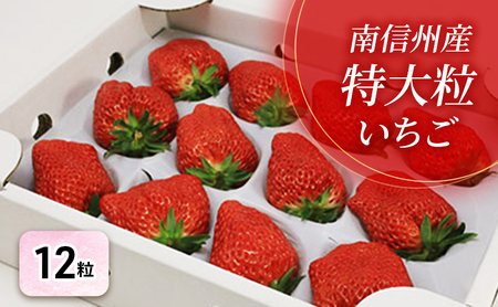 �y���I�����p�z��M�B�Y�u���嗱�������v�i12������j�y�M�B������������z �ʕ��� � �C�`�S