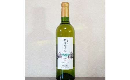 [信州産りんご]林檎ワイン(720ml×1本)