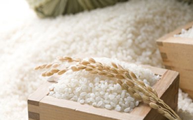 [無洗米]長野県産「特別栽培米コシヒカリ1等級」(10kg)マイ・ファーム中坪
