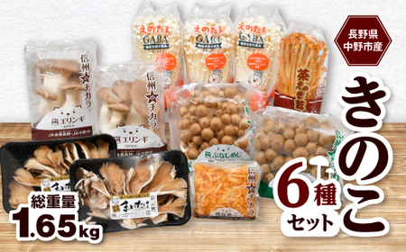 JA中野市産地直送!5種10パック入りきのこセット【中野市特産きのこセットできのこ食を習慣に】【配送不可地域：離島】【1487473】