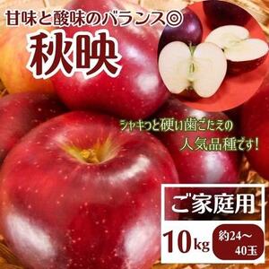 [先行受付]りんご 秋映 ご家庭用 10kg