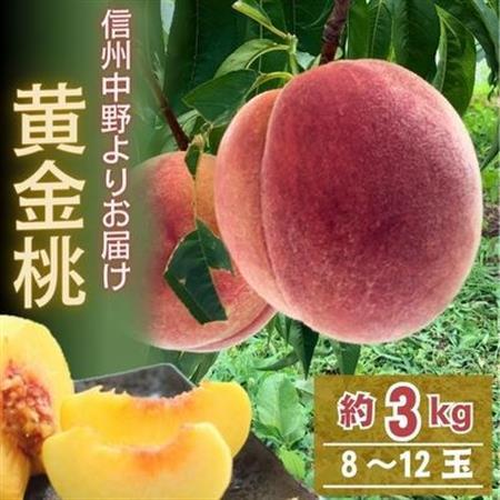 黄金桃 約3kg(8～12玉)【配送不可地域：離島】【1495414】