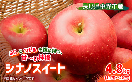 [先行受付] りんご シナノスイート 4.8kg 長野県産