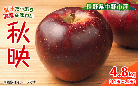 【先行受付】 りんご 秋映 4.8kg  長野県産【1496555】