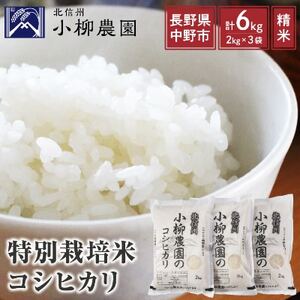 小柳農園の特別栽培米コシヒカリ6kg(2kg×3)
