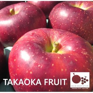 2026年発送「産地より信州中野の旬をお届け」 秋映(あきばえ)　贈答用　約5kg【1306515】