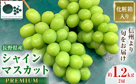 「産地より信州中野の旬をお届け」 シャインマスカット　PREMIUM　約1.2kg　【配送不可地域：離島】【1311086】