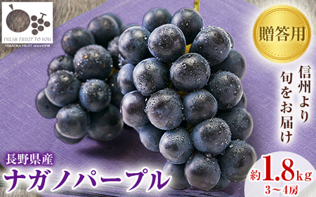 2026年発送「産地より信州中野の旬をお届け」 ナガノパープル　贈答用　約1.8kg【配送不可地域：離島】【1311112】