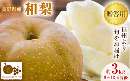 高丘フルーツの長野県産「和梨」贈答用 約3Kg 8-12玉前後[配送不可地域:離島]