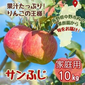 ◆2025年1月中発送◆りんご サンふじ家庭用 10kg【1515113】