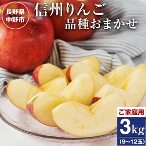 ご家庭用 信州りんご3kg【1246323】