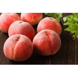 【2025年発送】フルーツ王国　長野県産　北信州　桃　なつっこ　約3kg(9～12玉)【配送不可地域：離島】【1530561】