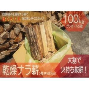北信州産 乾燥ナラ薪100kg 大割(長さ約40cm)[複数個口で配送]