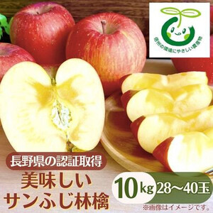 長野県の認証取得の美味しいサンふじ林檎10kg【1534439】