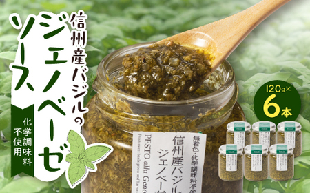 朝採れ信州産バジルのジェノベーゼソース 120g×6本【配送不可地域：近畿】【1437610】
