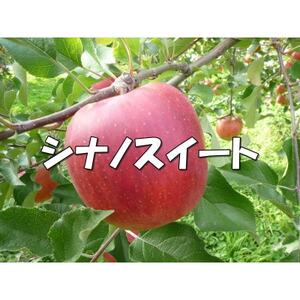 VLb!Á`!VimXC[g 10kgy1536029z