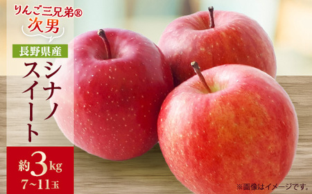 【2025年発送】フルーツ王国　長野県産 りんご　シナノスイート　約3kg(7～11玉程度)【1541938】