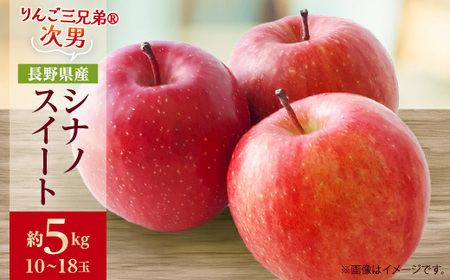 【2025年発送】フルーツ王国 長野県産 りんご　シナノスイート　約5kg(10～18玉程度)【1541939】