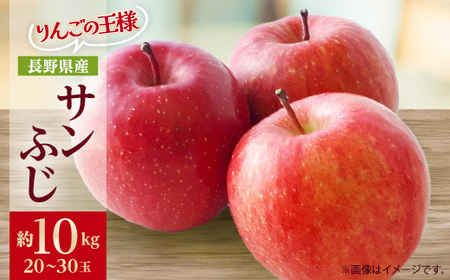 りんごの王様　長野県産 りんご　サンふじ　約10kg(20～30玉程度)【1541947】