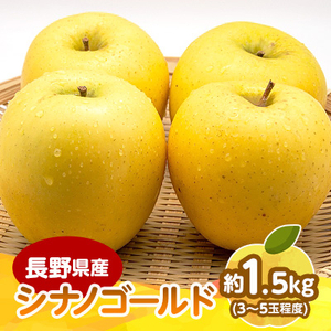【2025年発送】　長野県産 りんご　シナノゴールド　約1.5kg(3～5玉程度)【1541949】