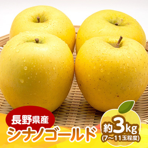 【2025年発送】　長野県産 りんご　シナノゴールド　約3kg(7～11玉程度)【1541951】