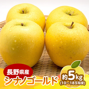 【2025年発送】　長野県産 りんご　シナノゴールド　約5kg(10～18玉程度)【1541953】