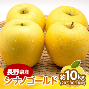 【2025年発送】　長野県産 りんご　シナノゴールド　約10kg(20～30玉程度)【1541955】