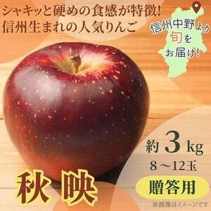 秋映 贈答用 3kg(8〜12玉)[配送不可地域:離島]