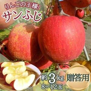 サンふじ 贈答用 約3kg(8〜12玉)