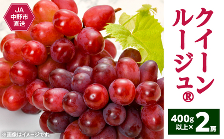 【2025年発送】長野県生まれの新しいぶどうクイーンルージュ(R)2房(800g以上)中野市から直送【配送不可地域：離島】【1570785】