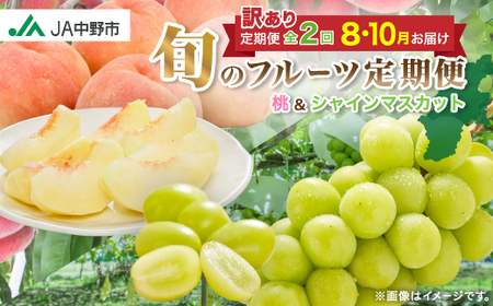 【発送月固定定期便】JA中野市訳ありの【桃】川中島白桃2.1kgとシャインマスカット1.3kg全2回【配送不可地域：離島・北海道・沖縄県】【4060199】