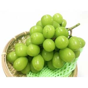 y2025Nstzt[cMBYn@VC}XJbg@5kg(4`9[)yzsnFzy1573058z