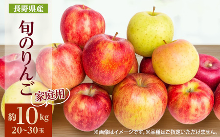 【2025年発送】家庭用　長野県北信州のりんご　約10kg(20～30玉)おまかせ1品種【1575385】