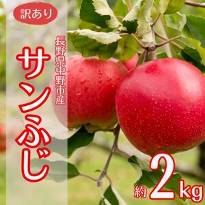 [訳あり]産地直送 信州りんご(サンふじ)2kg (ご家庭用)