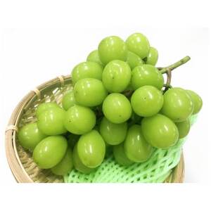 y2025Nstzt[cMBYn@VC}XJbg@1[(400`700g)yzsnFzy1577378z