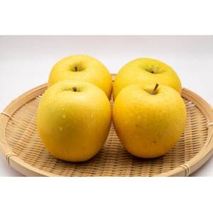 【2025年発送】 長野県産 りんご シナノゴールド 約2kg(3～5玉程度)【1577419】