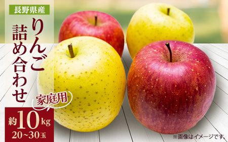 ƒpy2025Nz  TӂVimS[h lߍ킹 10kg(20`30)y1577938z