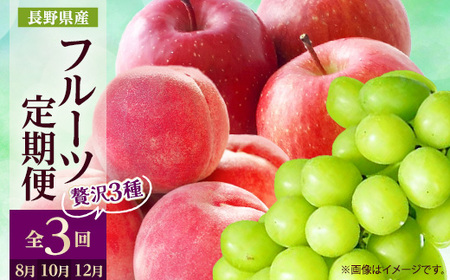 yŒցz2026N ̉ʕ +VC}XJbg+TӂS3yzsnFzy4063511z