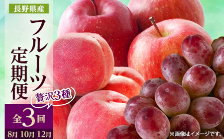 yŒցz2026N ̉ʕ +NC[[W+TӂS3yzsnFzy4063524z