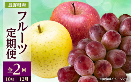 yŒցz2026N ̉ʕ@NC[[W+񂲋lߍ킹S2yzsnFzy4063532z